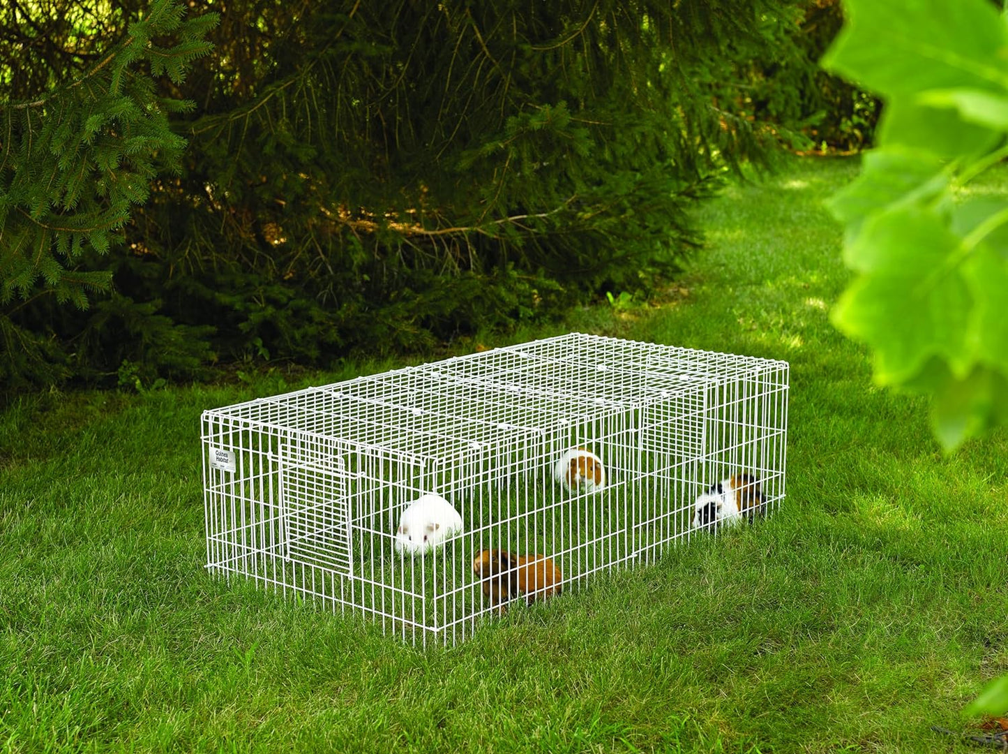 Guinea Habitat plus Cage, Includes Divider Panel and Hinged Top, Washable PVC Canvas Bottom, Expandable Small Animal Cage for Guinea Pigs, 171GHP