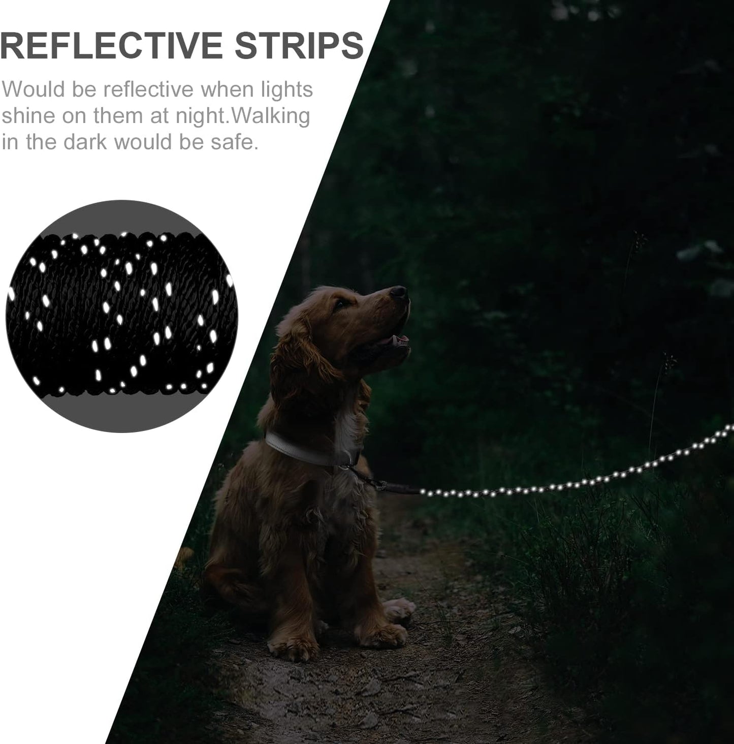 Long Dog Training Leash, 30 FT Tie Out Rope Check Cord with Padded Handle, Reflective Recall Lead for Puppy and Small Dogs, Black