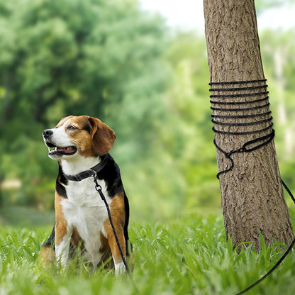 Long Dog Training Leash, 30 FT Tie Out Rope Check Cord with Padded Handle, Reflective Recall Lead for Puppy and Small Dogs, Black