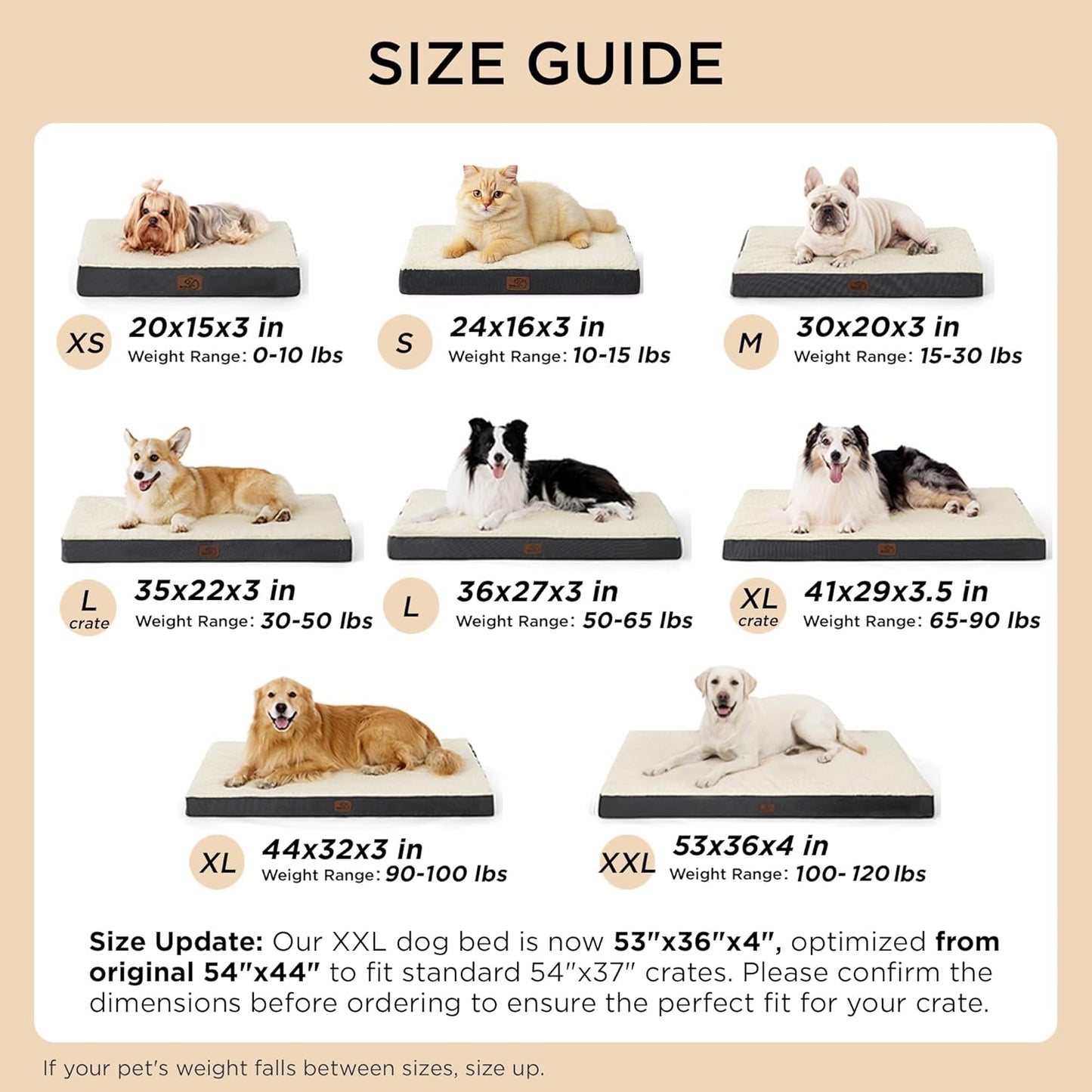 Dog Bed Medium Size Dog - Comfy Flat Puppy Beds with Removable Washable Cover, Orthopedic Egg Crate Foam Pet Mat, Suitable for Pet up to 30 Lbs