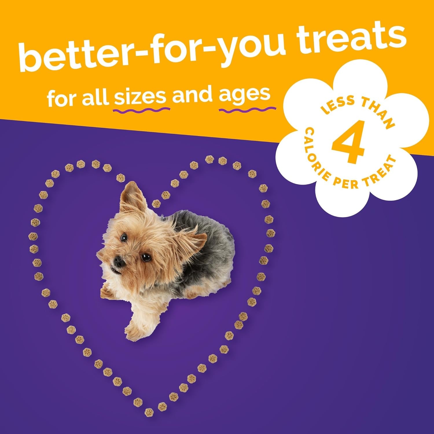 Skinny Minis Dog Treats, Healthy Pumpkin Treat for Dogs, Low Calorie & Delicious, Puppy Training, No Wheat, Corn or Soy, Made in the USA, Pumpkin and Mango Flavor, 5Oz