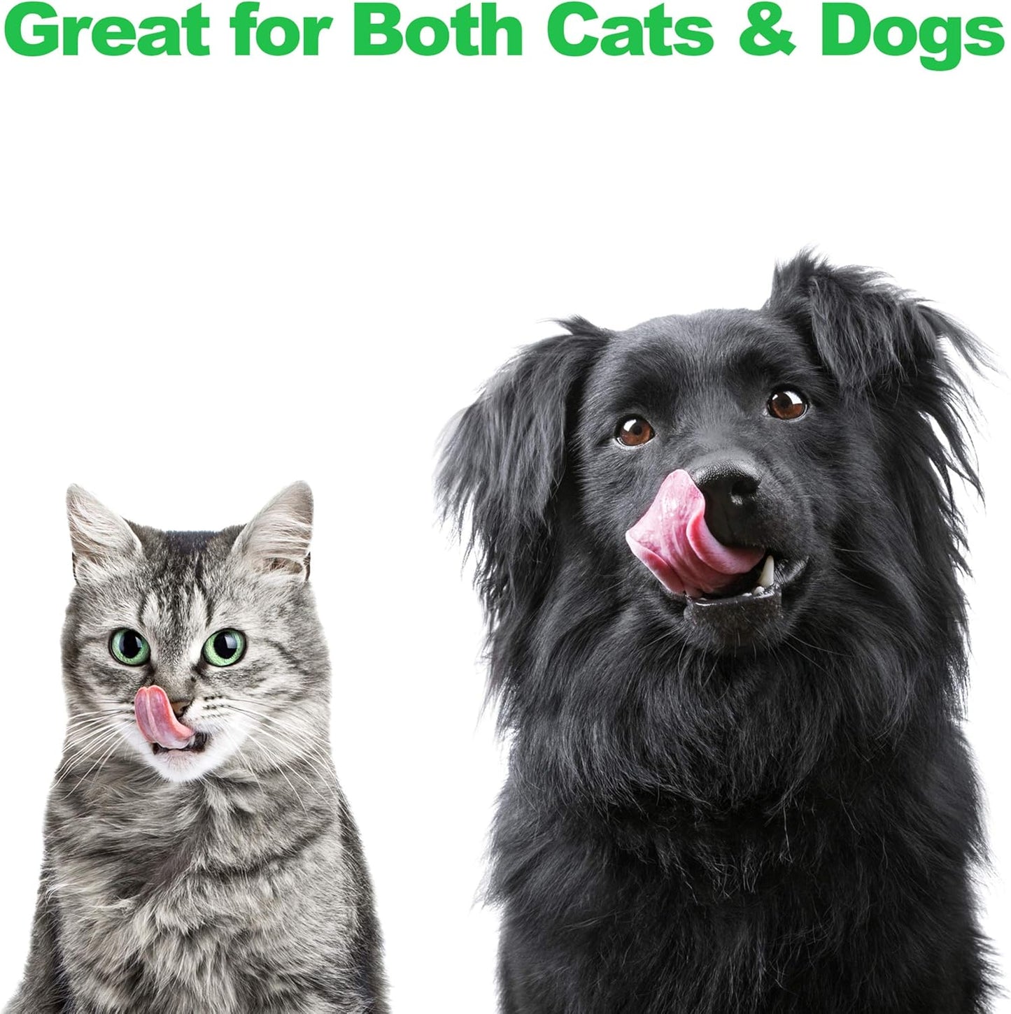 Set of 2 Stainless Steel Dog Bowls - 40Oz Pet Bowls with Decorative Dog Food Stand - Metal Food and Water Dishes for Large Pets - Puppy Essentials by  (Silver/Black)