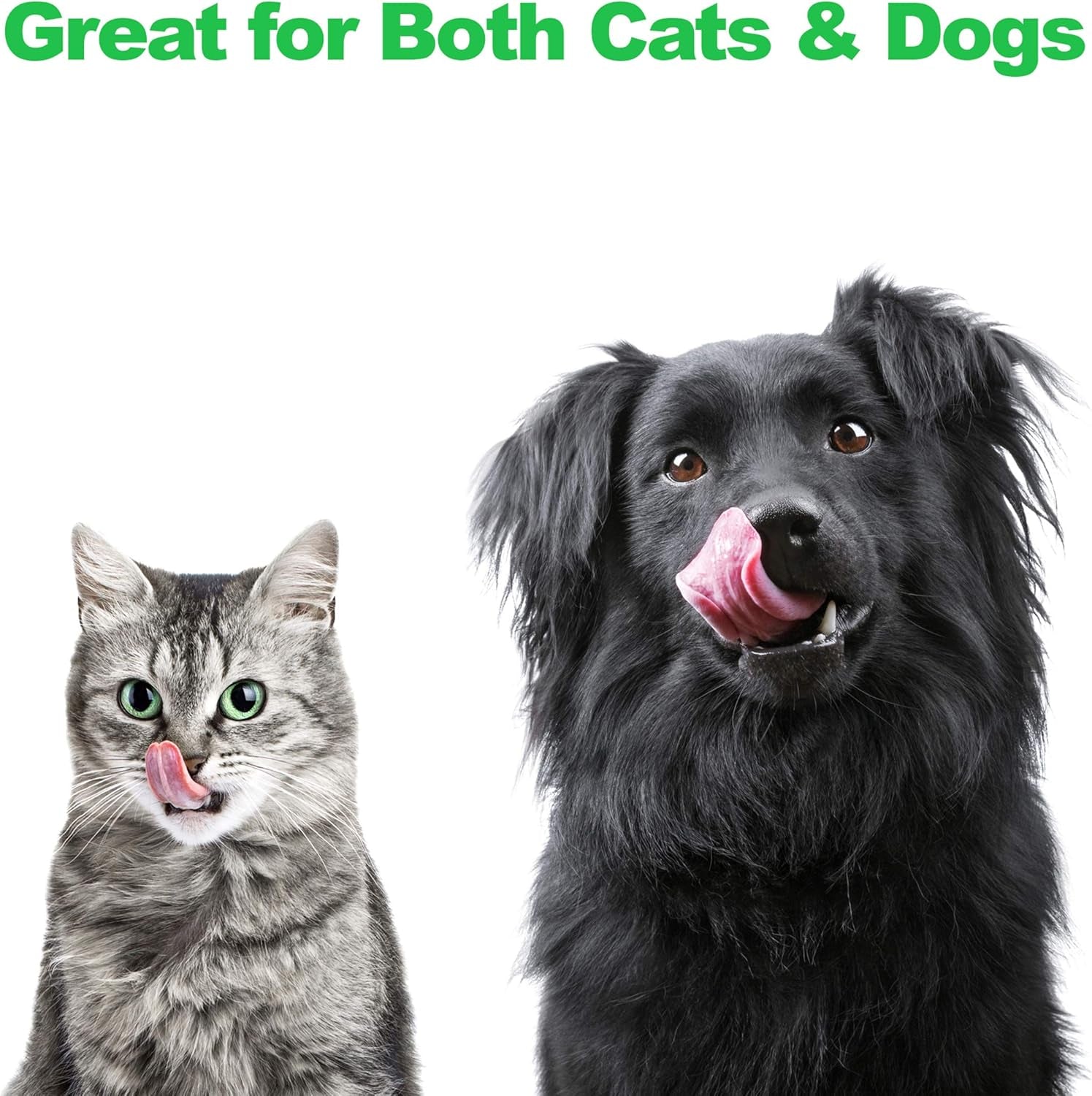 Set of 2 Stainless Steel Dog Bowls - 40Oz Pet Bowls with Decorative Dog Food Stand - Metal Food and Water Dishes for Large Pets - Puppy Essentials by  (Silver/Black)